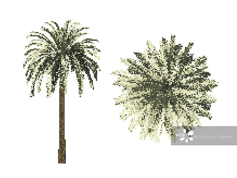 像素化棕榈凤凰树像素艺术矢量插画（白色背景，顶视图）图片素材