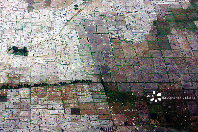 亚洲米饭图片素材