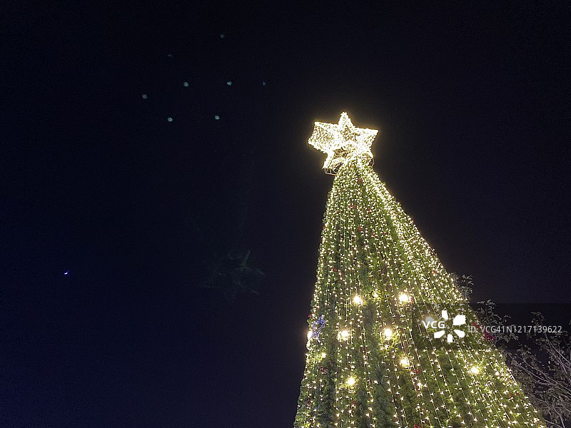 节日装饰彩灯树图片素材