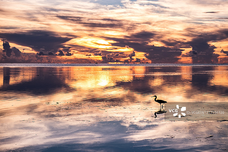 库克群岛艾图塔基的日落图片素材