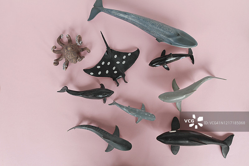 玩具动物，扁平风格图片素材