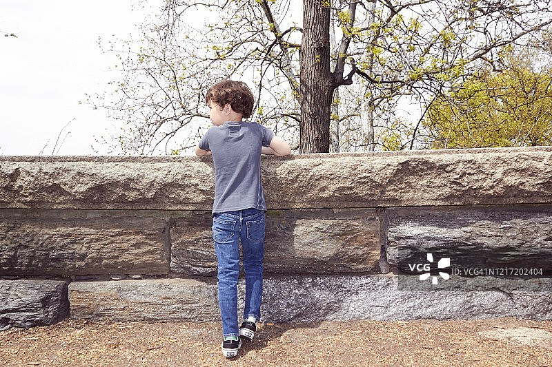 站在墙边眺望树林的棕色卷发小男孩图片素材