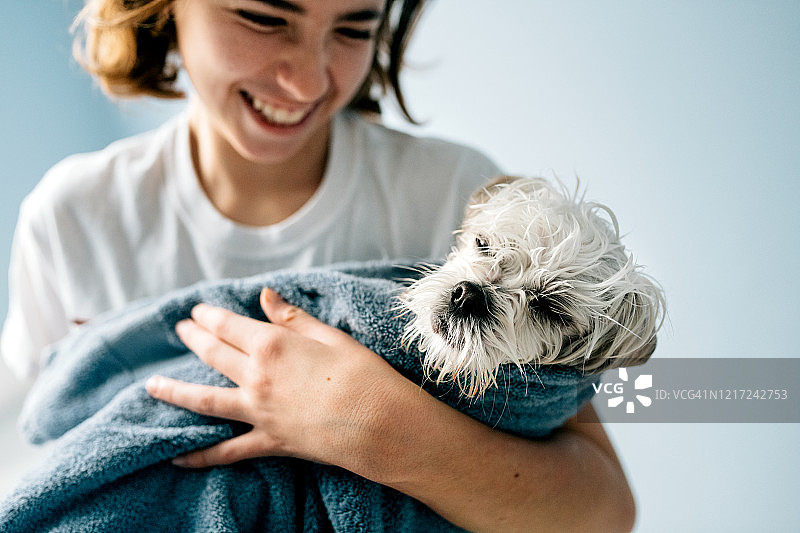 狗狗洗澡图片素材