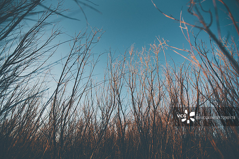 美国新墨西哥州阿尔伯克基西部的沙漠图片素材