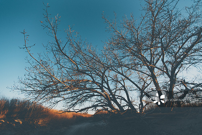 美国新墨西哥州阿尔伯克基西部的沙漠图片素材