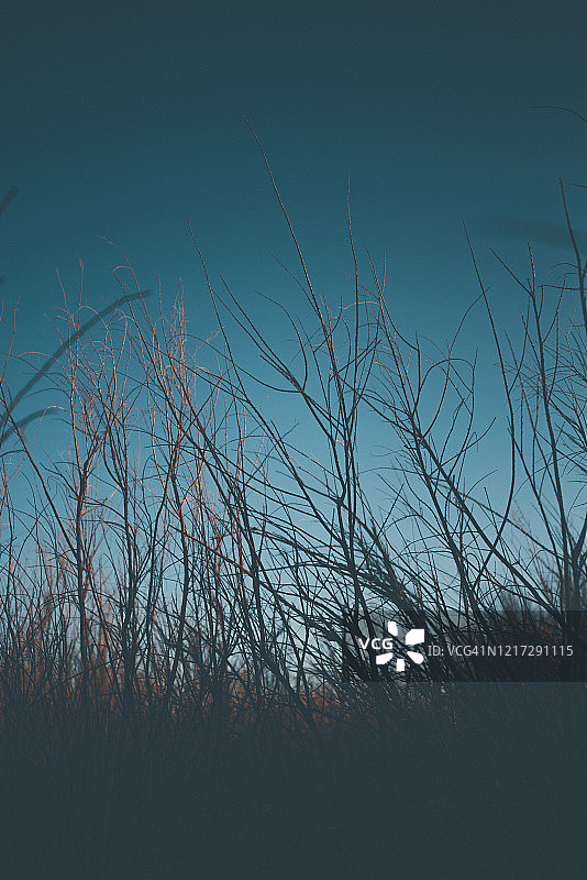 美国新墨西哥州阿尔伯克基西部的沙漠图片素材