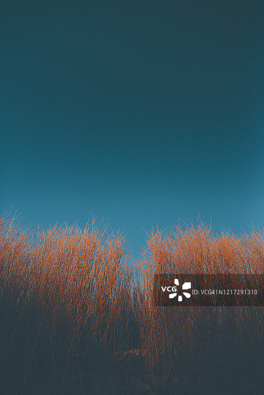 美国新墨西哥州阿尔伯克基西部的沙漠图片素材