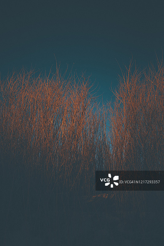 美国新墨西哥州阿尔伯克基西部的沙漠图片素材