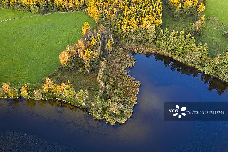 罗绍普滕附近施穆特魏尔湖岸边的芦苇带图片素材