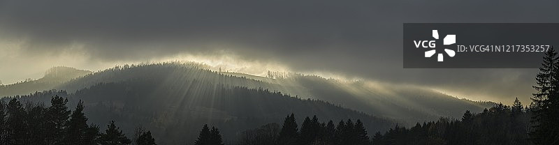 奥地利下奥地利州考姆堡逆光下的雾气森林图片素材