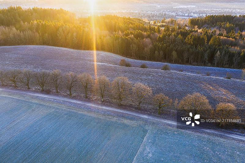 德国巴伐利亚伊金附近日出时分，穿过田野和草地的白霜小巷图片素材