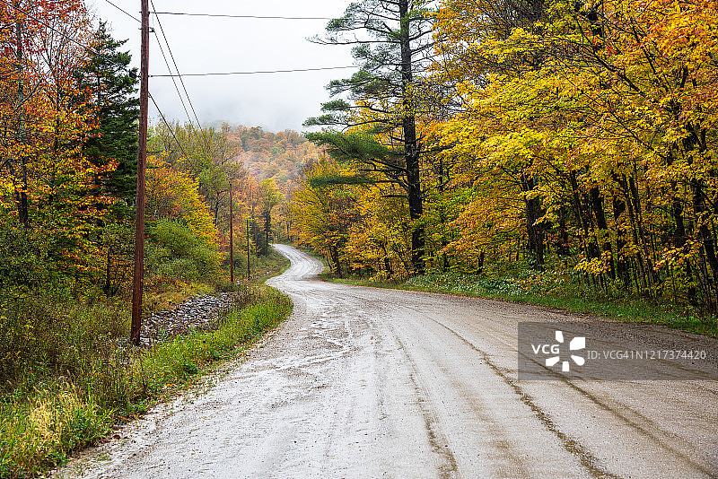雨雾秋日山中落叶林间的后街小路图片素材