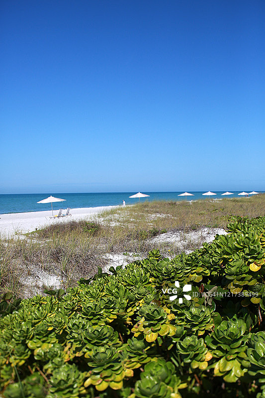 佛罗里达海湾海岸风光图片素材