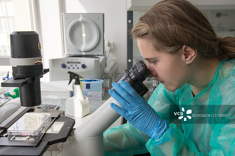 年轻女研究员在显微镜下研究人体细胞图片素材
