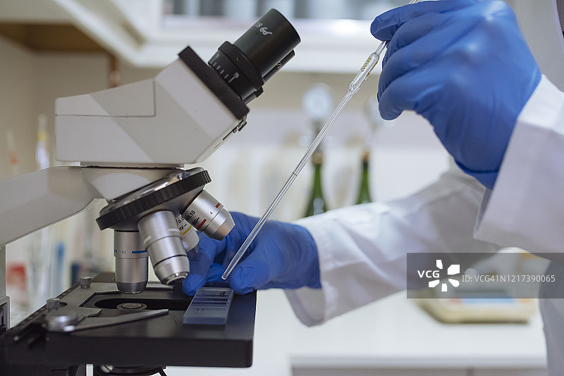 在葡萄酒实验室中用显微镜观察样品的手部特写图片素材