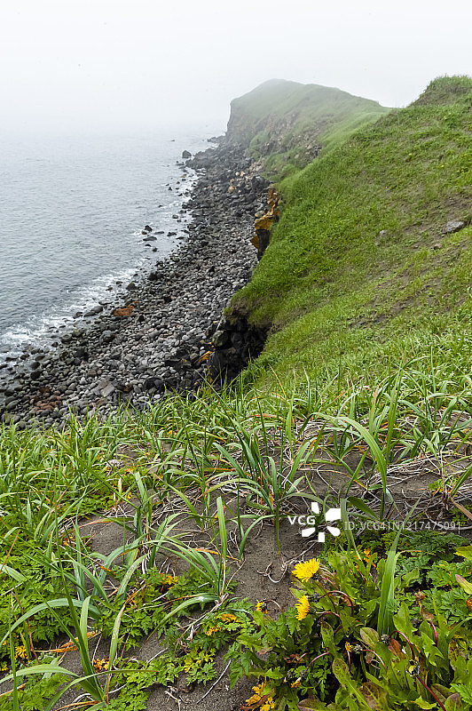 圣保罗岛的悬崖，位于阿拉斯加州普里比洛夫群岛白令海图片素材