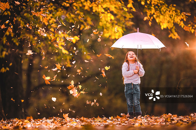 落叶雨图片素材