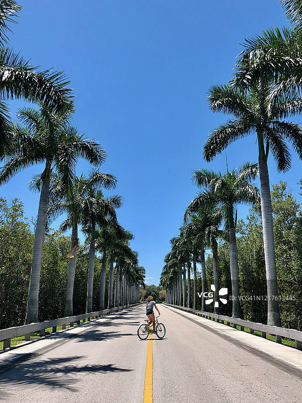 女孩在佛罗里达州棕榈树林荫大道上骑自行车图片素材