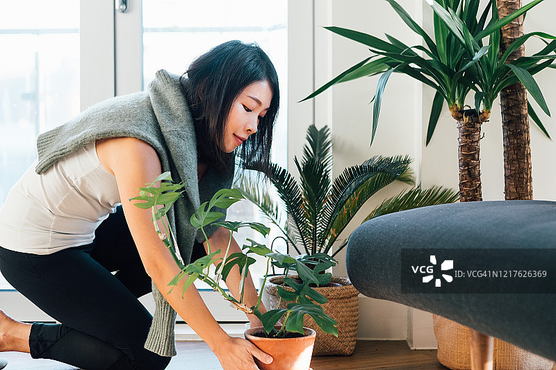 微笑的女人在家举起盆栽植物的侧面轮廓图片素材