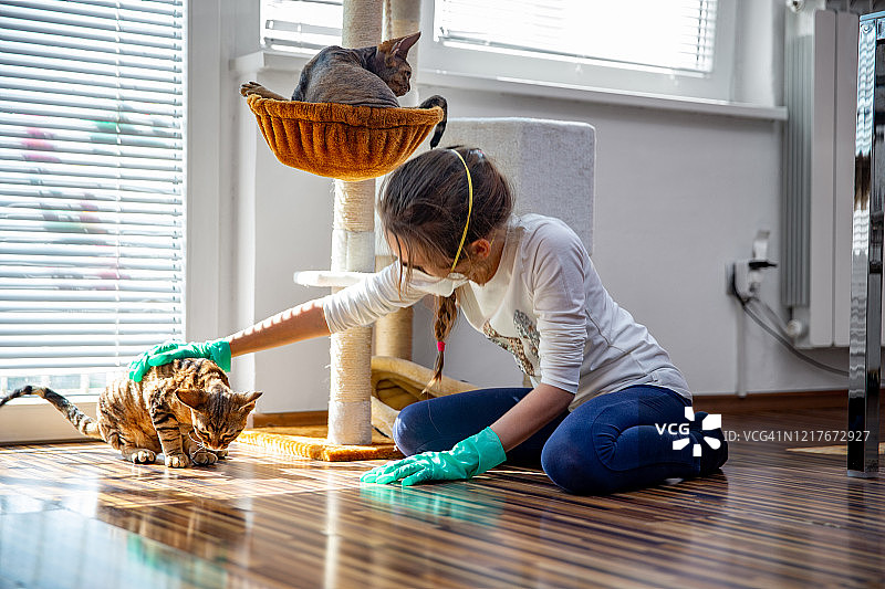 戴着防护手套和口罩，抚摸猫咪的小女孩图片素材