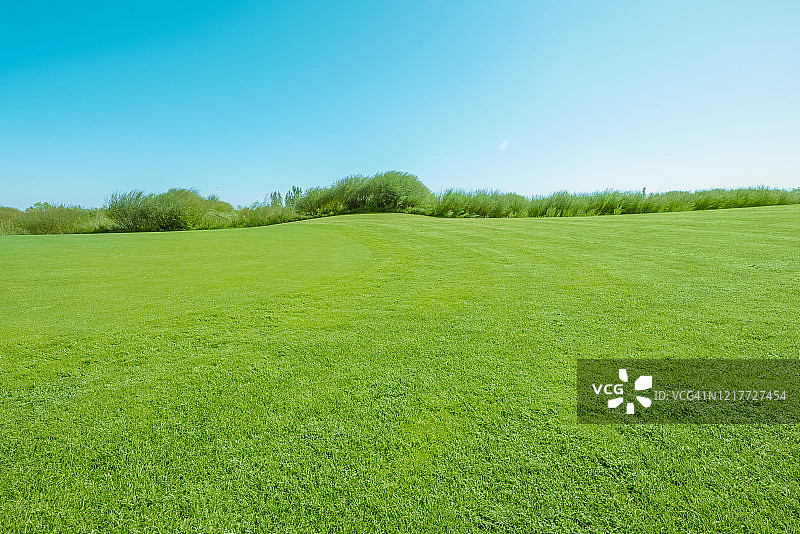 晴朗天空下的绿色草地图片素材