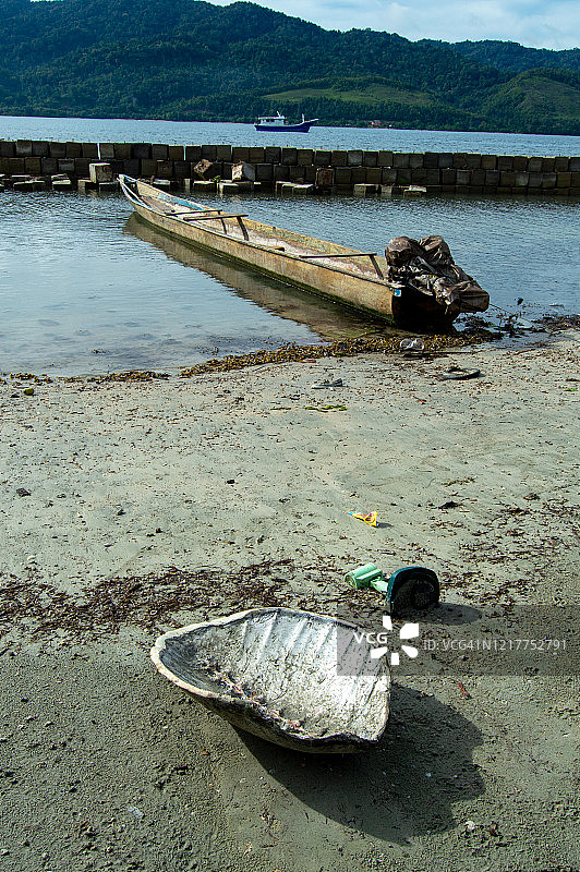 海滩上的龟壳图片素材