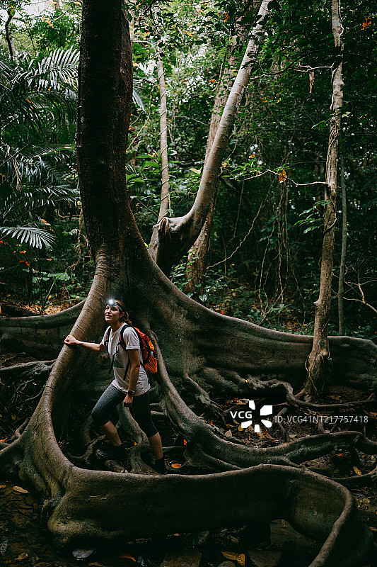 在日本冲绳县西表岛丛林中徒步的女人图片素材