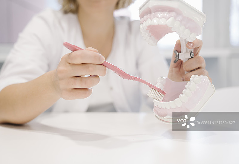 女牙医示范用牙刷清洁牙齿和牙齿模型图片素材