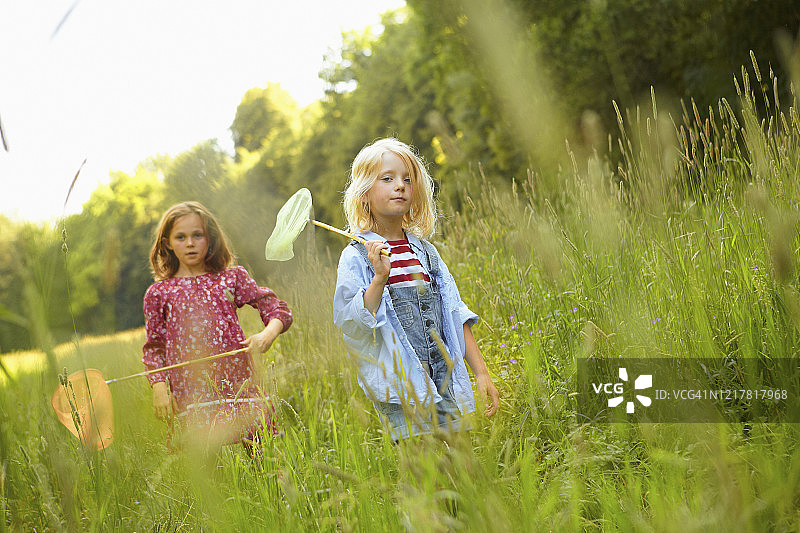 女孩们在齐腰高的草丛中拿着捕蝶网行走图片素材