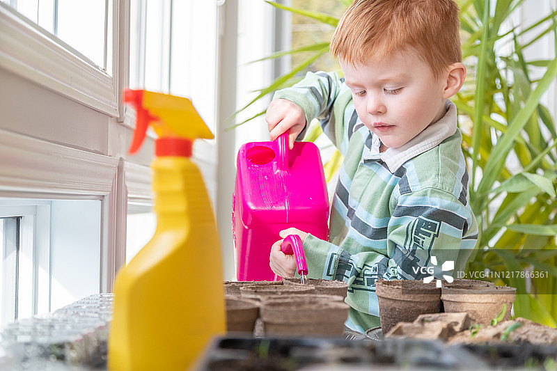 隔离在家时重新种植发芽种子的可爱孩子图片素材
