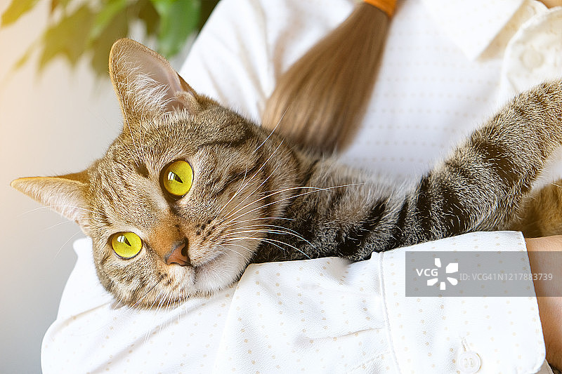 女人抱着一只忧郁的猫，站在窗台上图片素材