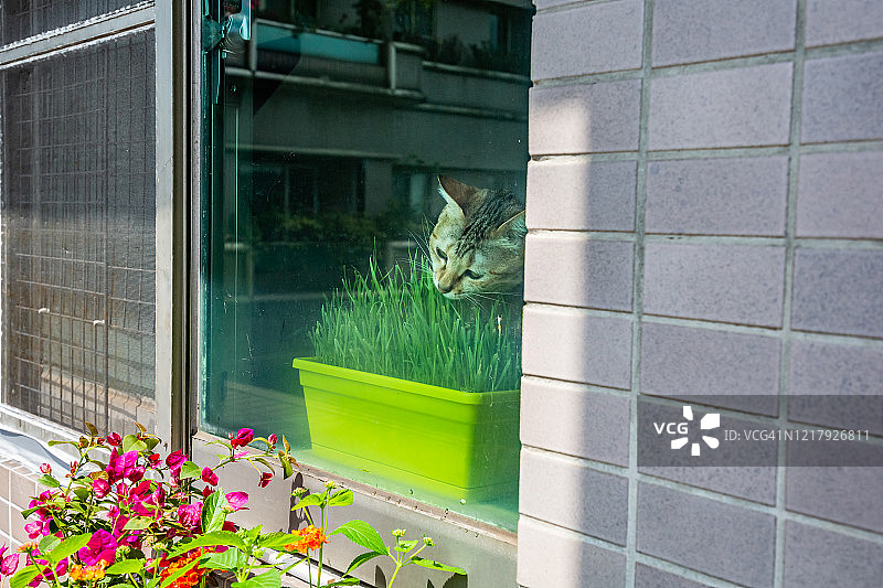 室内停留图片素材