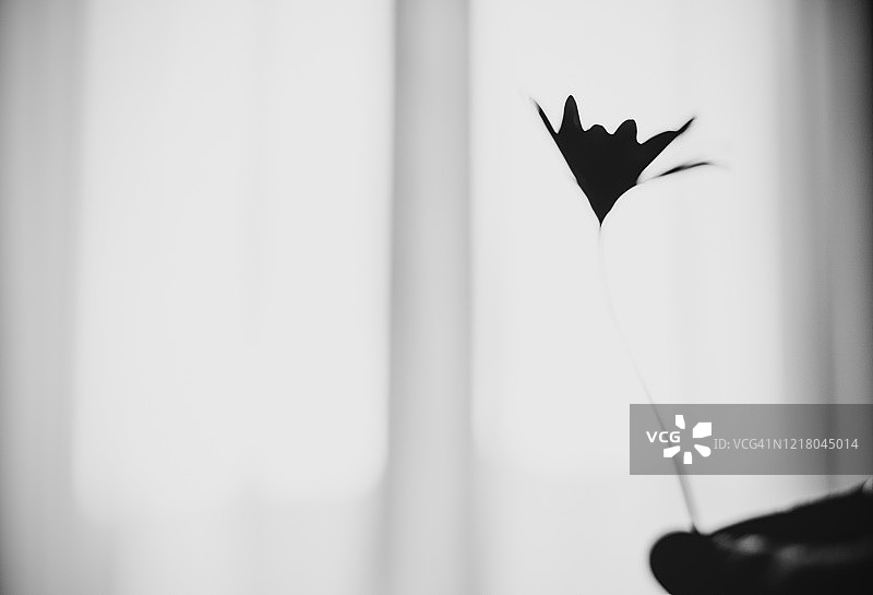 女人手持鲜花图片素材