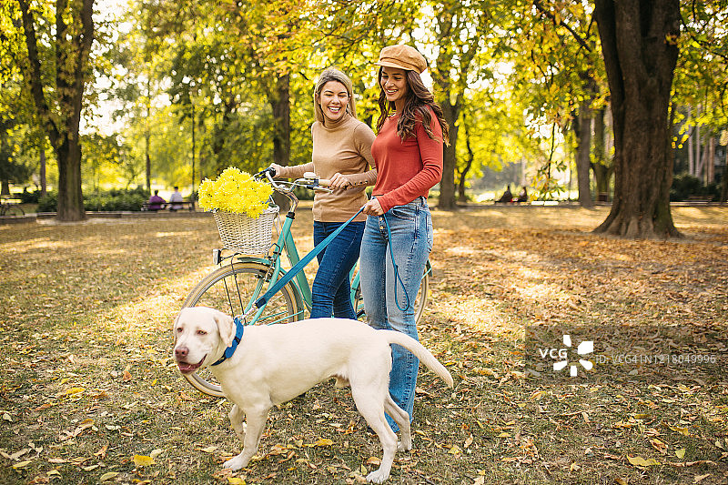 好朋友在公园里遛狗图片素材