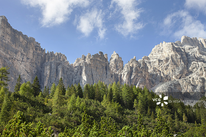 多洛米蒂山岩壁上的落叶松和冷杉林图片素材