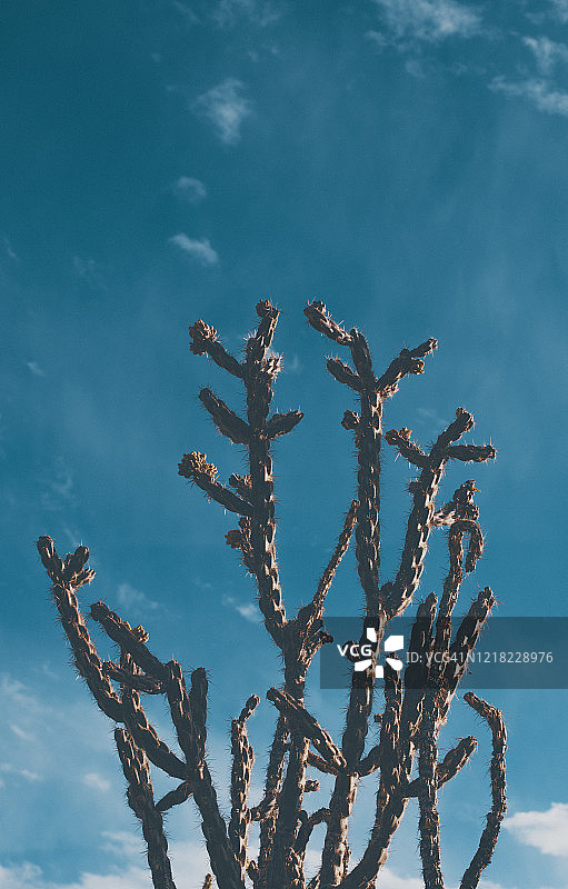 美国新墨西哥州阿尔伯克基附近的高沙漠风光图片素材