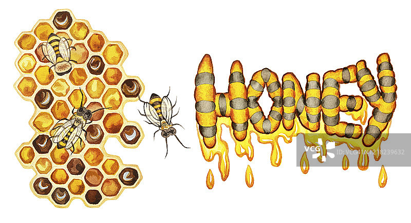 水彩插图图片素材