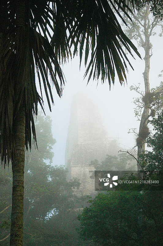 危地马拉蒂卡尔玛雅神庙与热带植物图片素材