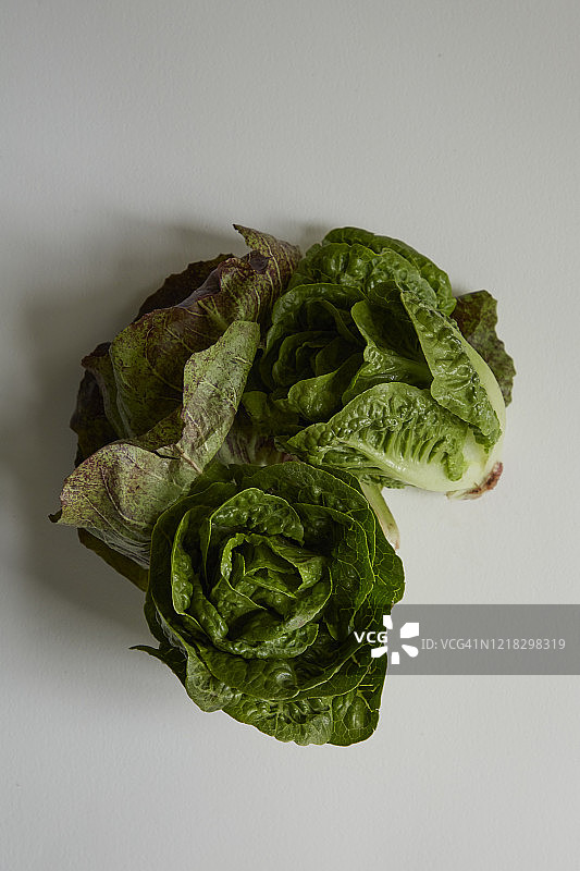白色背景上的三颗罗马生菜图片素材