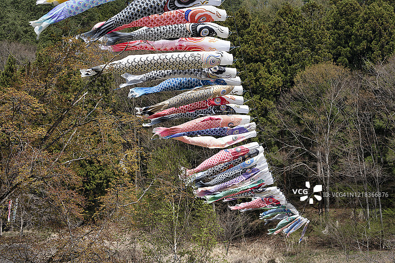 随风飘动的鲤鱼旗图片素材