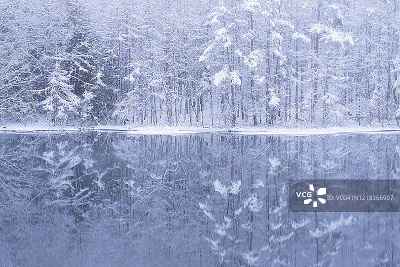 冬季美丽的池塘中倒映着白雪皑皑的森林图片素材