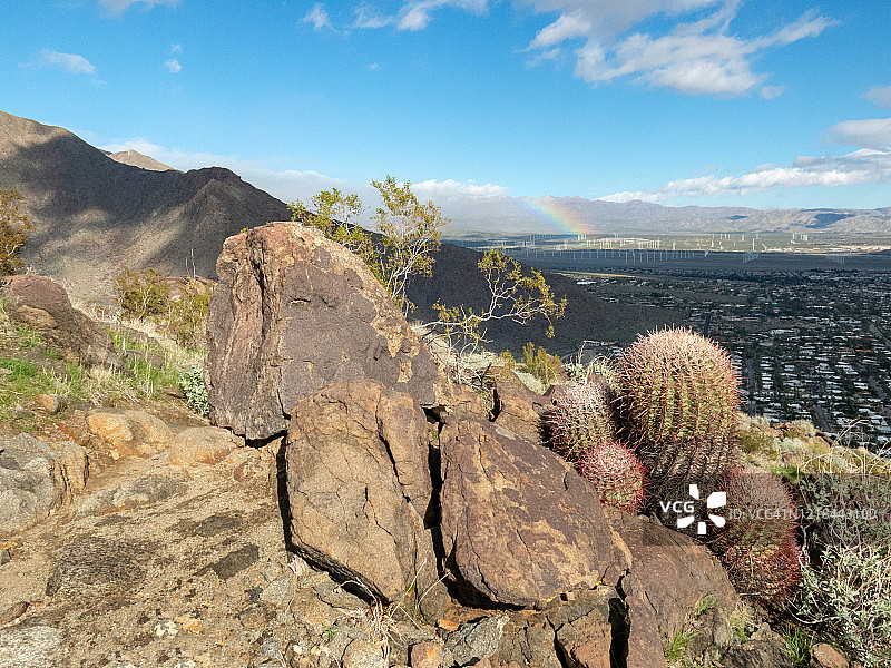 棕榈泉上空遥远的彩虹与岩石和仙人掌特写图片素材