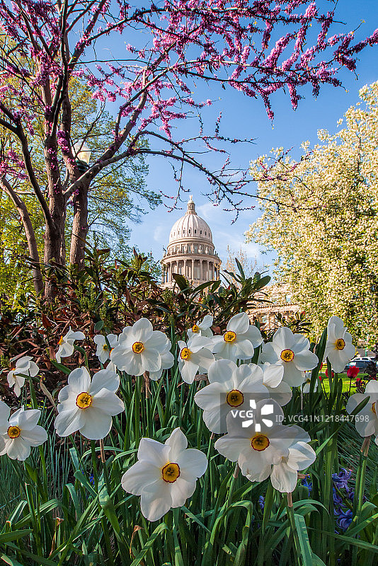 爱达荷州议会大厦图片素材