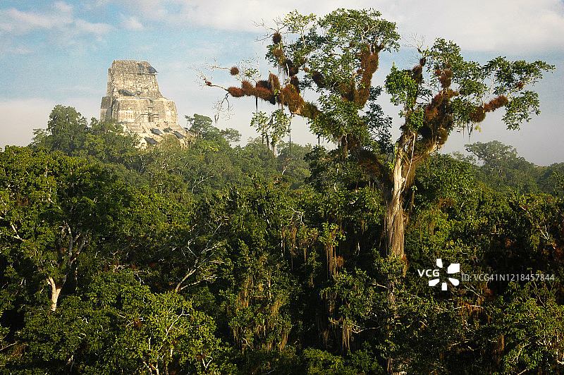 危地马拉蒂卡尔的玛雅神庙图片素材