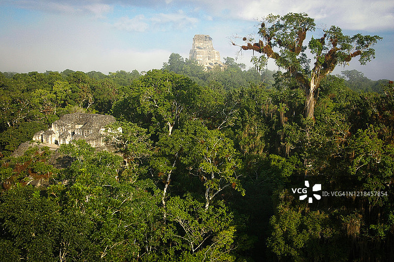 危地马拉蒂卡尔的玛雅神庙图片素材