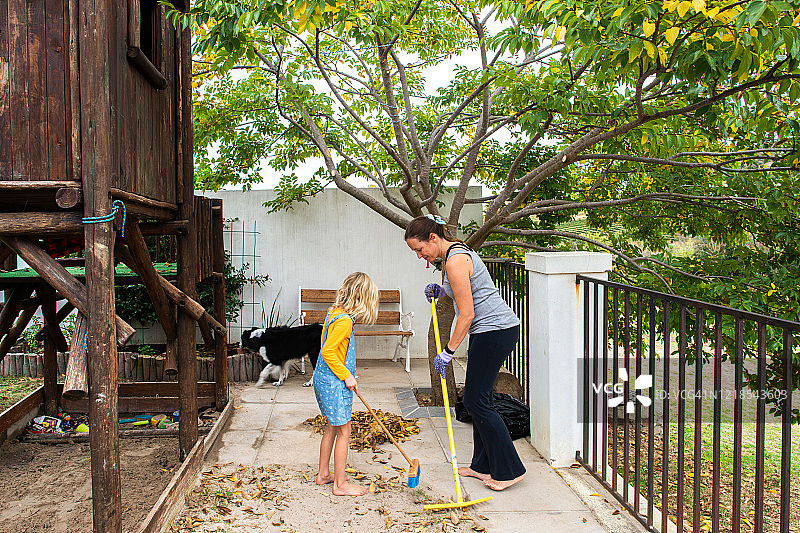 和宠物边境牧羊犬一起学习秋天图片素材