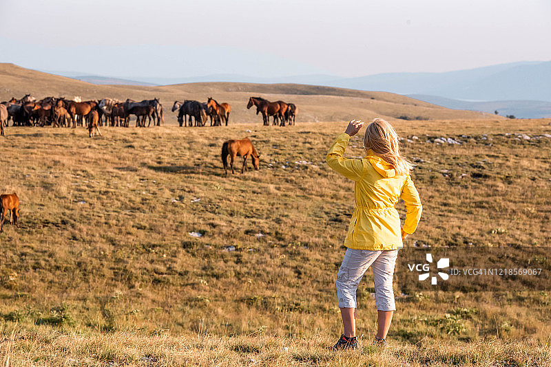成年女性欣赏着大自然中野马的景色图片素材