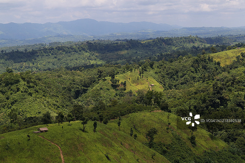丘陵上的稻米丰收景象图片素材
