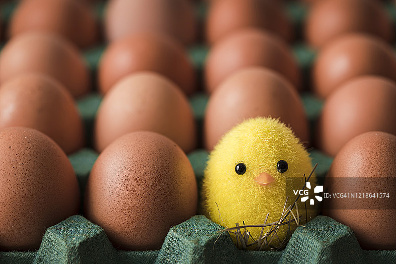 带小鸡玩具的鸡蛋盒图片素材
