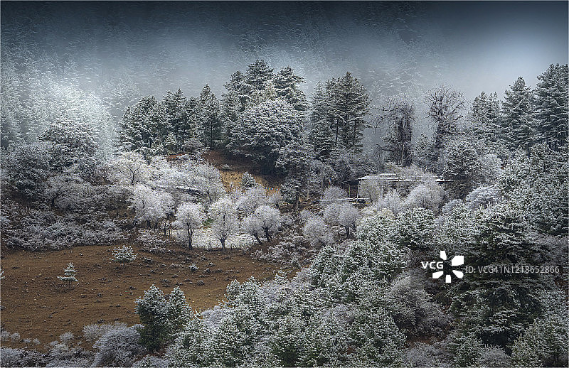 不丹廷布山谷的霜冻清晨，喜马拉雅山脉图片素材